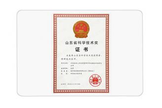山東省科學(xué)技術(shù)獎(jiǎng)