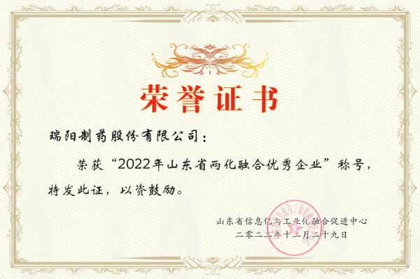 20-年山東省兩化融合優(yōu)秀企業(yè).jpg
