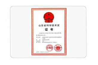 山東省科學(xué)技術(shù)獎(jiǎng)