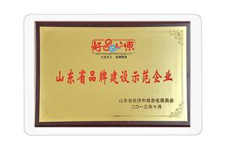 山東省品牌建設(shè)示范企業(yè)