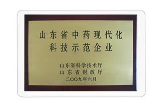 山東省中藥科技化現(xiàn)代示范企業(yè)