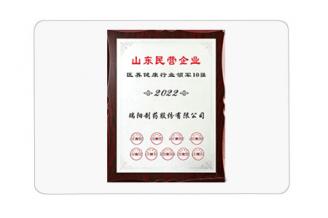 山東民營(yíng)企業(yè)醫(yī)養(yǎng)健康行業(yè)領(lǐng)軍10強(qiáng)